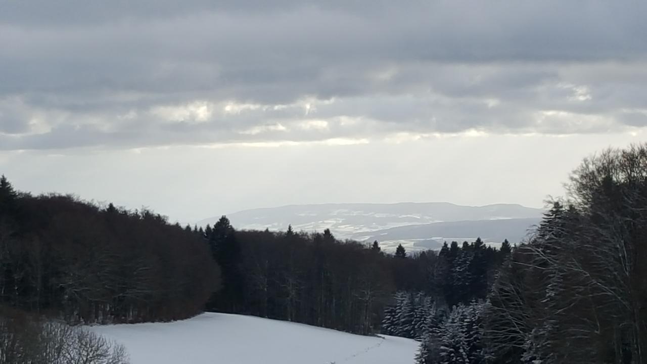 Gasthof Zum Hirschen Hotel Strittmatt Kültér fotó